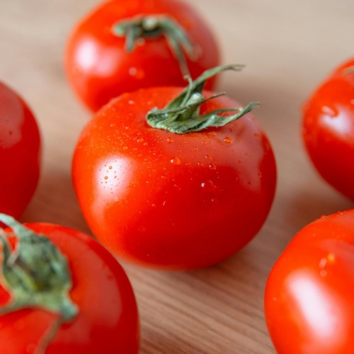 Photo By Dmitry Demidov From Pexels